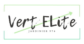 Vert Elite